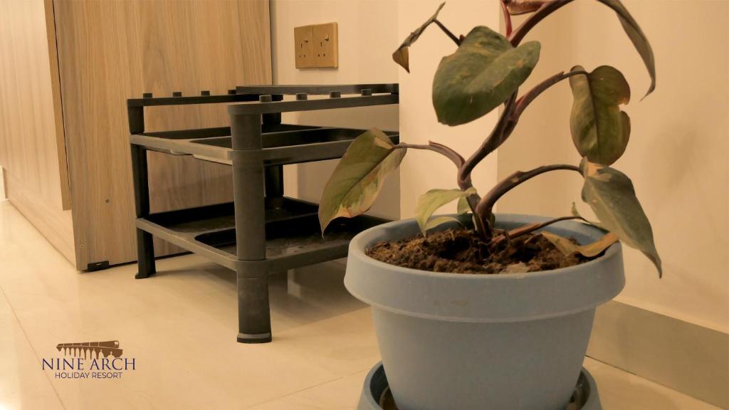 Superior Double Room - Nine Arch Holiday Resort Ella
