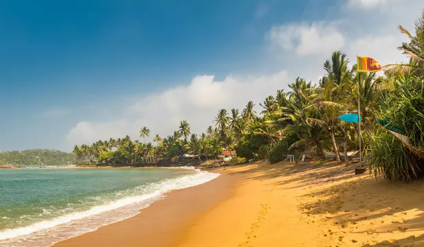 MIRISSA BEACH tourist attraction near Nine Arch Holiday Resort Ella
